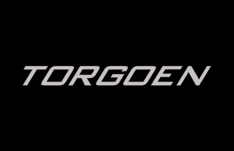 Torgoen